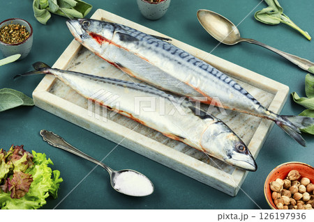 Fresh Atlantic mackerel. Fresh Atlantic mackerel. 126197936