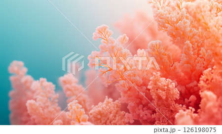 Vibrant coral formation in a serene underwater habitat Vibrant coral formation in a serene underwater habitat 126198075