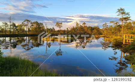 Scenic view of a calm forest lake during golden hour in Estonia, with pine trees reflecting on the still water 126199192