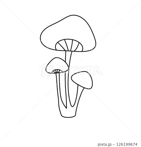 A mushroom with three stems A mushroom with three stems 126199674
