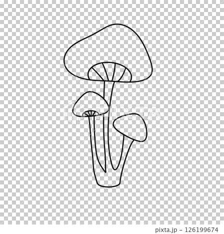 A mushroom with three stems A mushroom with three stems 126199674