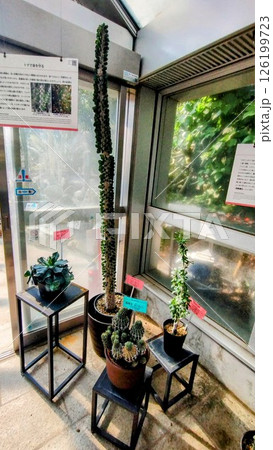 筑波実験植物園 筑波実験植物園 126199723