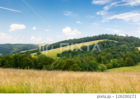 mountainous carpathian countryside landscape. grassy alpine meadow under a blue sky with fluffy clouds. lush forest on a rolling hill. summer vacations in highlands of ukraine on a sunny day mountainous carpathian countryside landscape. grassy alpine meadow under a blue sky with fluffy clouds. lush forest on a rolling hill. summer vacations in highlands of ukraine on a sunny day 126200271