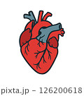 Flat Vector Illustration of a Human Anatomical Heart 126200618