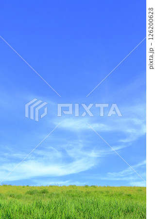 爽やかな夏の風景 爽やかな夏の風景 126200628