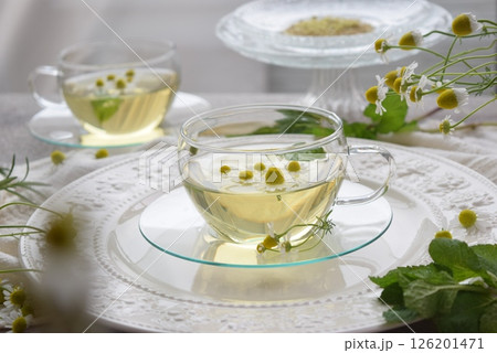 カモミールティー カモミールティー 126201471