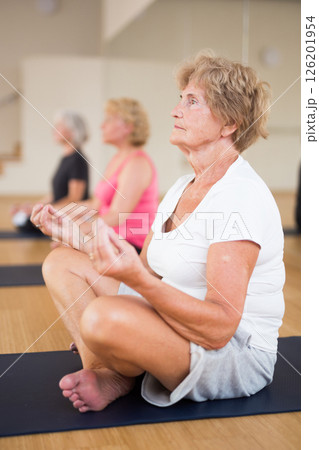 Group of aged ladies sitting in lotus pose 126201954