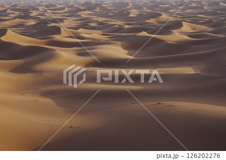 Sea of sand formations of Erg Chigaga dune at Sahara desert in southeastern MOROCCO Sea of sand formations of Erg Chigaga dune at Sahara desert in southeastern MOROCCO 126202276