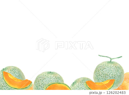 水彩絵の具で描いたメロンの背景 126202483