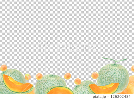 水彩絵の具で描いたメロンの背景 126202484