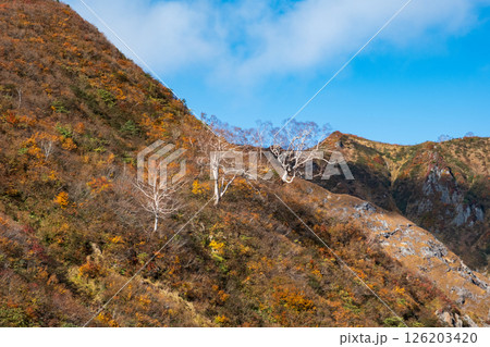 秋の飯豊山 126203420