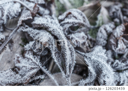 秋の飯豊山 126203439