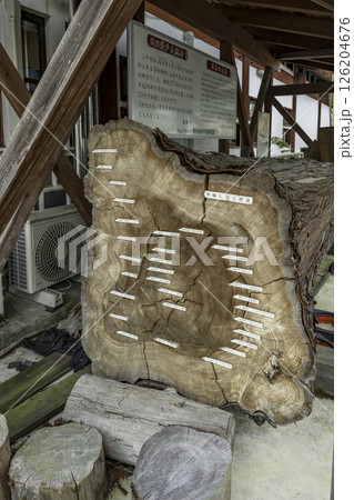 勝山木材ふれあい会館　天の岩戸天然杉　岡山県真庭市 126204676