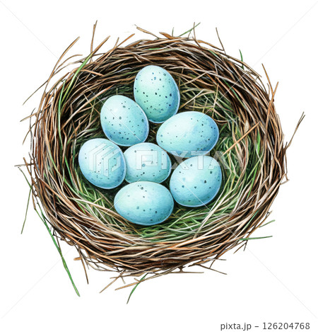 Bird nest with blue speckled eggs natural nest made of twigs and grass close up view detailed texture realistic illustration springtime scene wildlife habitat delicate and fragile peaceful nature 126204768