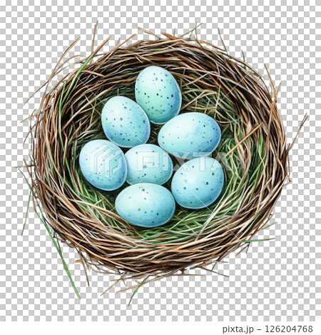 Bird nest with blue speckled eggs natural nest made of twigs and grass close up view detailed texture realistic illustration springtime scene wildlife habitat delicate and fragile peaceful nature 126204768