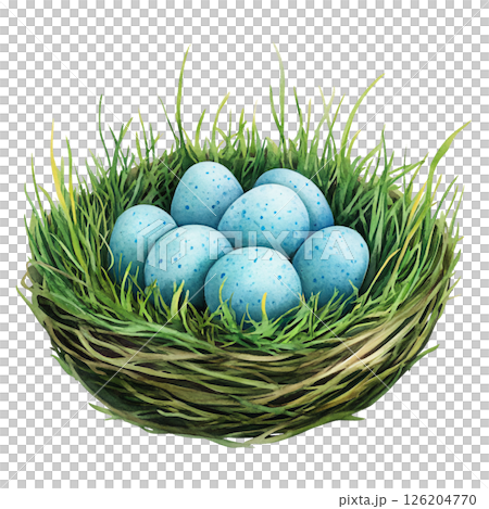 Nest made of twigs and grass holding several blue speckled eggs, symbolizing new life and springtime renewal, set against plain background 126204770