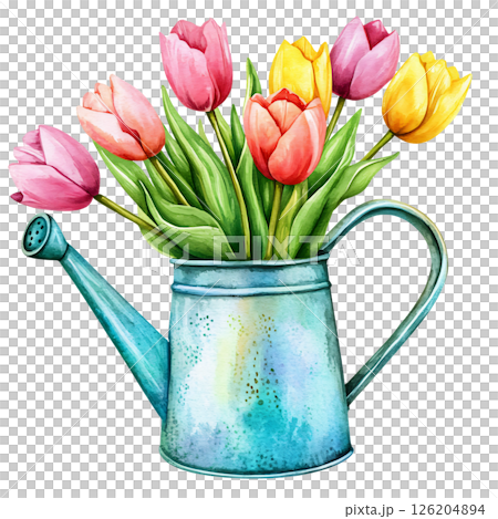 Watercolor illustration of watering can filled with colorful tulips, featuring pink, yellow, and purple flowers with green leaves, creating vibrant and cheerful floral scene 126204894