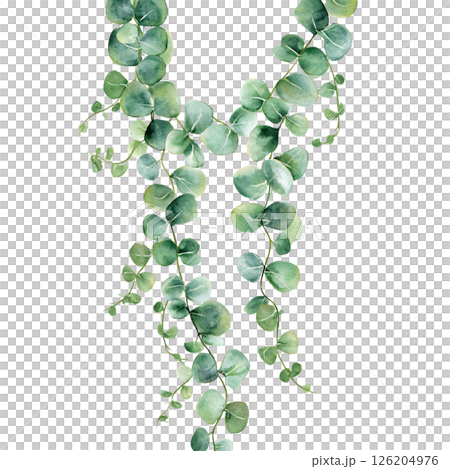 Watercolor eucalyptus leaves with soft green tones, delicate and natural, perfect for botanical decor or design projects, evoking freshness and tranquility 126204976