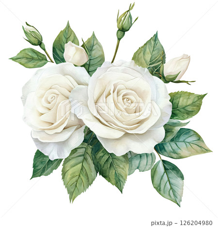 Elegant white roses with lush green leaves, delicate buds, and soft petals create serene and beautiful floral arrangement, evoking feelings of purity and grace Elegant white roses with lush green leaves, delicate buds, and soft petals create serene and beautiful floral arrangement, evoking feelings of purity and grace 126204980