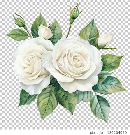 Elegant white roses with lush green leaves, delicate buds, and soft petals create serene and beautiful floral arrangement, evoking feelings of purity and grace Elegant white roses with lush green leaves, delicate buds, and soft petals create serene and beautiful floral arrangement, evoking feelings of purity and grace 126204980