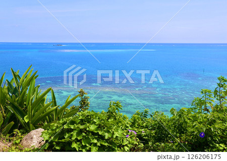 知念岬公園・展望台からの眺め(沖縄県・南城市) 知念岬公園・展望台からの眺め(沖縄県・南城市) 126206175