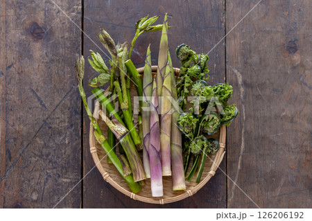 春の山菜（ウド、たけのこ、こごみ） 126206192