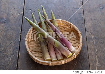 春の山菜 根曲がり竹 春の山菜 根曲がり竹 126206201