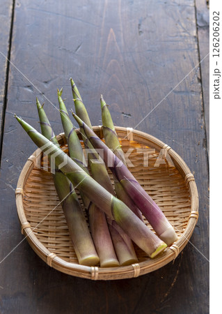 春の山菜　根曲がり竹 126206202