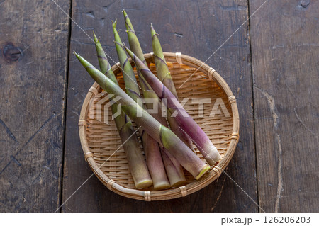 春の山菜　根曲がり竹 126206203