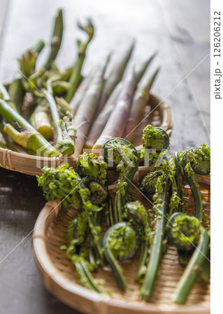春の山菜（ウド、たけのこ、こごみ） 126206212
