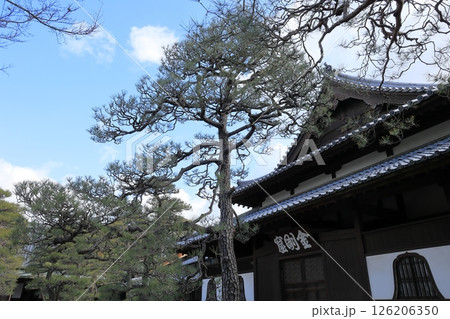久留米・梅林寺の風景 久留米・梅林寺の風景 126206350