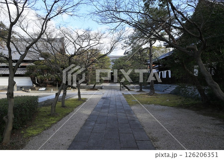 久留米・梅林寺の風景 久留米・梅林寺の風景 126206351