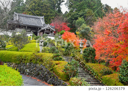 紅葉に包まれた善峯寺の奥の院 紅葉に包まれた善峯寺の奥の院 126206379