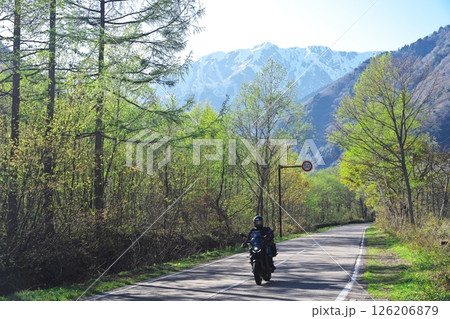 新緑に包まれた長野県道45号　大町アルペンライン 126206879