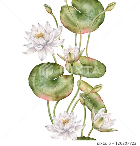 Seamless verticalborder or banner with watercolor white water lilies and green leaves. Hand-drawn illustration on white background. Elegant floral design for textiles, wrapping paper, or borders. 126207722