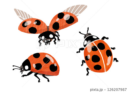 シンプルなテントウムシのベクターイラスト 126207987