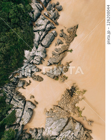 Aerial view of rocky coastline with green vegetation 126208044
