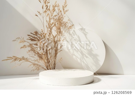 Podium for Cosmetic Product Presentation Show. Abstract Minimal Geometric Sphere. Cylinder One Form, Hard Shadow. Showcase Display Case Scene Stand. Trendy Grey Color Backdrop, Pampas Grass Dry Reed 126208569