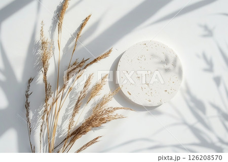 Podium for Cosmetic Product Presentation Show. Abstract Minimal Geometric Sphere. Cylinder One Form, Hard Shadow. Showcase Display Case Scene Stand. Trendy Grey Color Backdrop, Pampas Grass Dry Reed Podium for Cosmetic Product Presentation Show. Abstract Minimal Geometric Sphere. Cylinder One Form, Hard Shadow. Showcase Display Case Scene Stand. Trendy Grey Color Backdrop, Pampas Grass Dry Reed 126208570