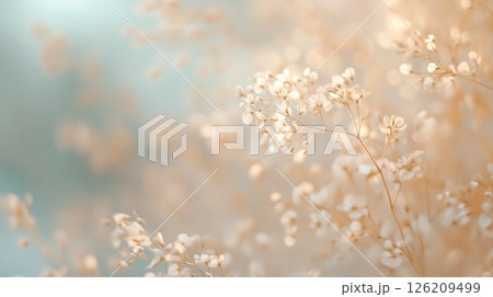 ふわふわした花 126209499
