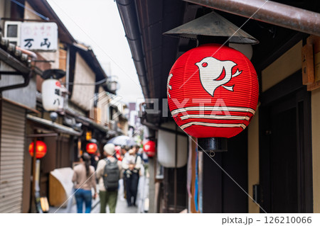 《京都府》先斗町・古都の歓楽街 《京都府》先斗町・古都の歓楽街 126210066