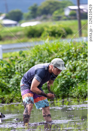 親子で田植え体験 126210429