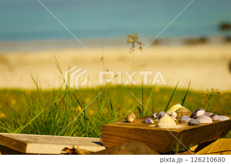 Sea shells and sandy beach Sea shells and sandy beach 126210680