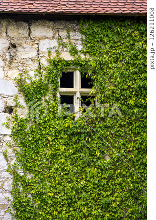 Ivy-covered facade and window of Ribnik Castle in the village of Ribnik, Karlovac County, Croatia, Europe 126211008