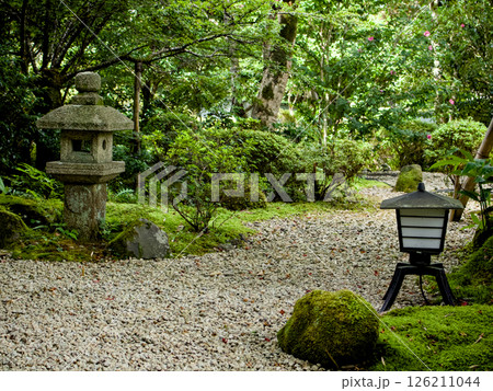 緑豊かな日本の庭園が美しい風景 緑豊かな日本の庭園が美しい風景 126211044