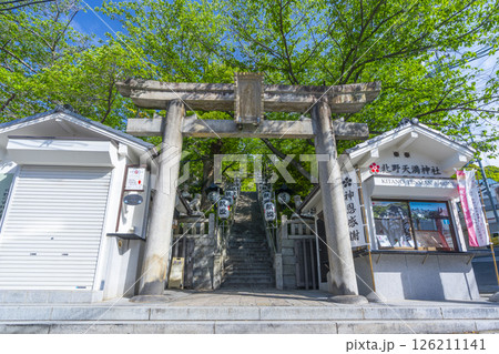 神戸　北野天満神社　新緑に包まれた石鳥居と石段の参道 126211141
