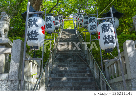 神戸　北野天満神社　新緑に包まれた石鳥居と石段の参道 126211143