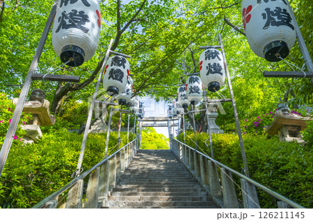 神戸　北野天満神社　新緑に包まれた石鳥居と石段の参道 126211145