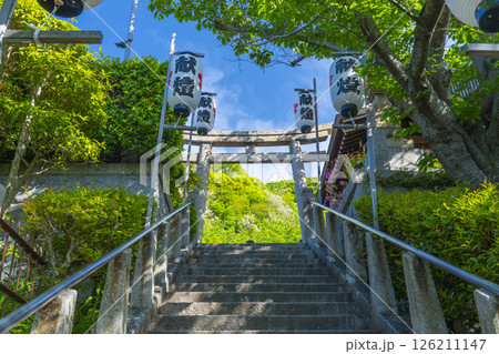 神戸　北野天満神社　新緑に包まれた石鳥居と石段の参道 126211147