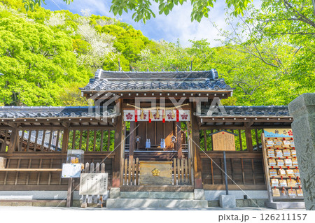北野天満神社 新緑に包まれた本殿 北野天満神社 新緑に包まれた本殿 126211157